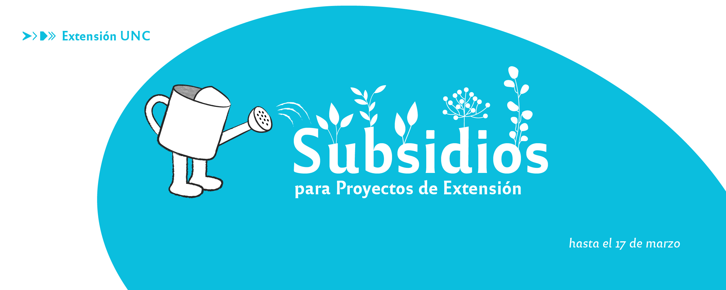 Convocatoria | Subsidios A Proyectos De Extensión 2023-2025 ...