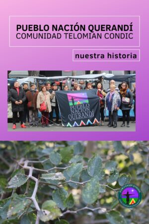 PUEBLO NACIÓN QUERANDÍ. COMUNIDAD TELOMIAN CONDIC. Nuestra historia