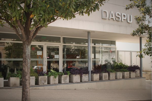 Declaración del Consejo Directivo sobre la situación de Daspu